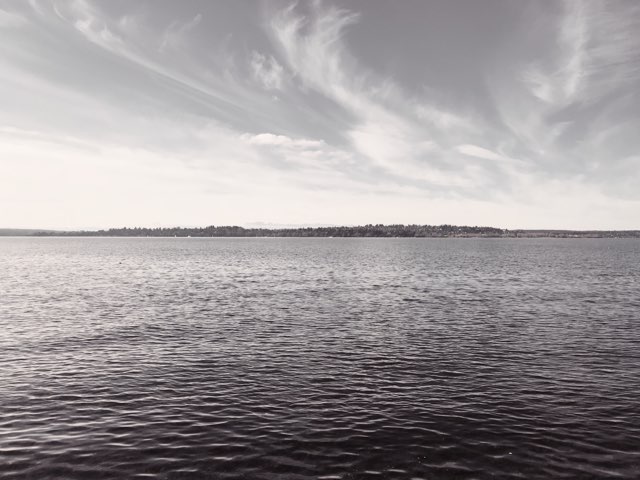 Profile Cover Image