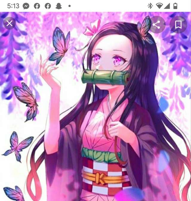 Nezuko-chan 's profile image