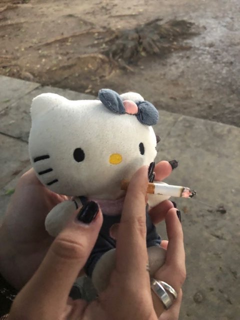 brailey 's profile image