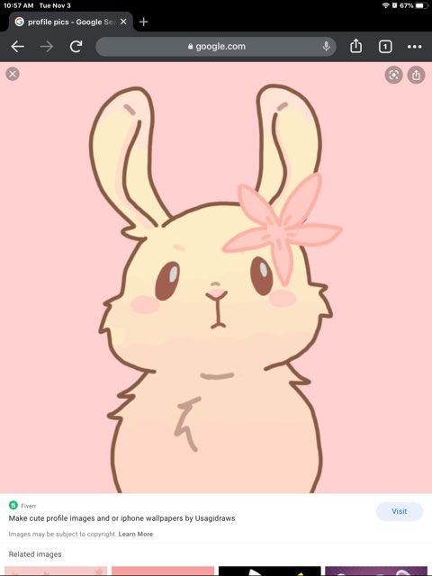 Finley Buehrer's profile image
