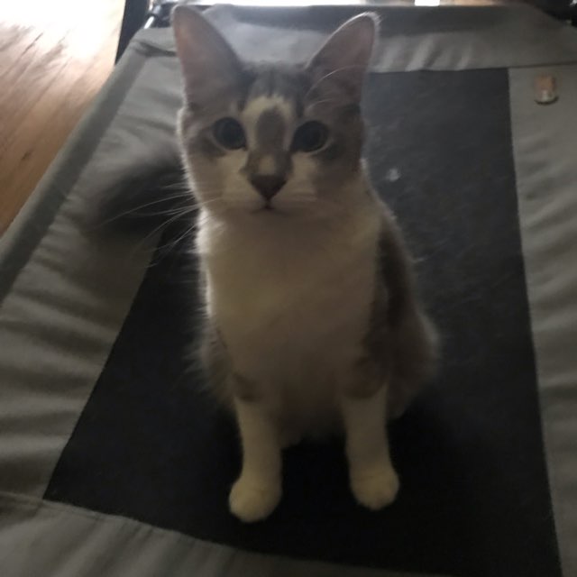 K Anne's profile image