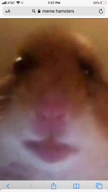 Denis Valenzuela's profile image
