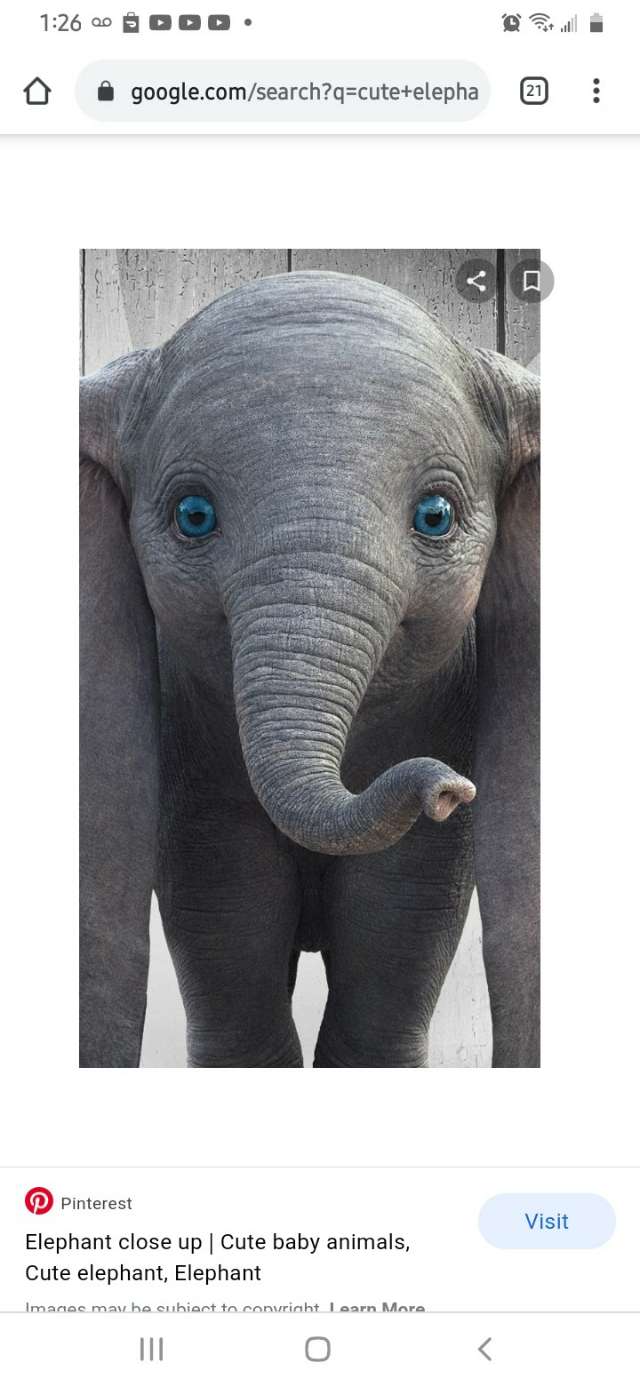 Profile User Image