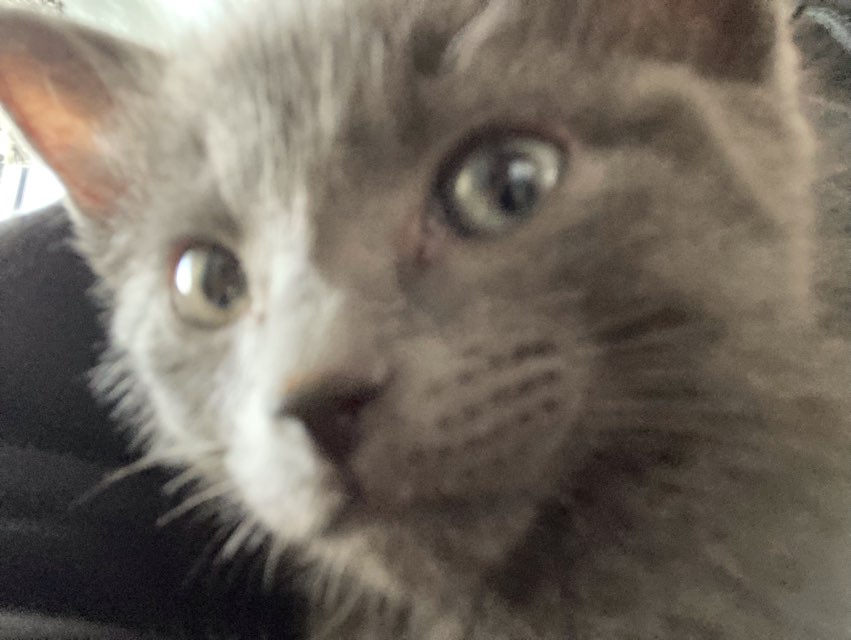 Oliver 's profile image