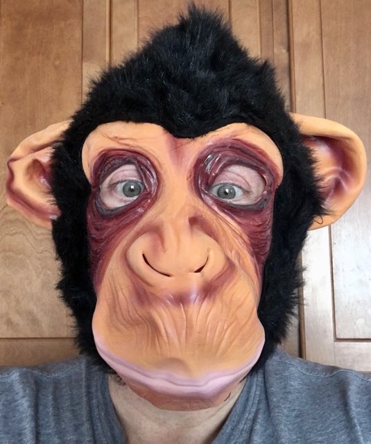 Ferd Burfle's profile image