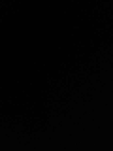 Profile User Image