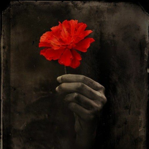 Ansley-Rose G.'s profile image
