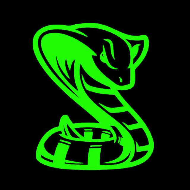 ExTr3Me_Cobra 's profile image