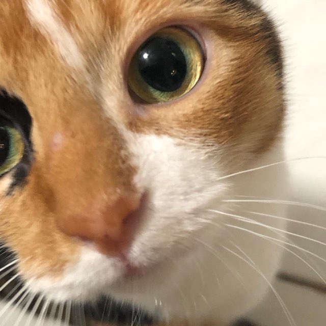 Jess 's profile image