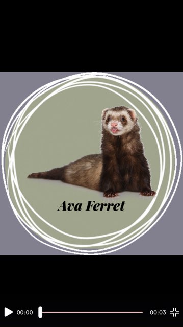 Ava 's profile image