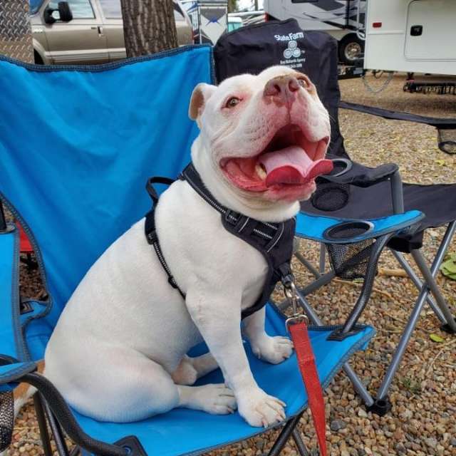 Dylan Burton's profile image