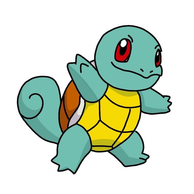 Squirtle 's profile image