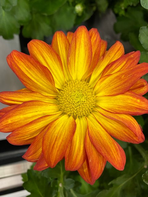 Mary 🌷's profile image