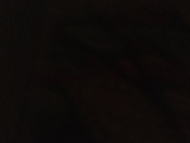 Gwyndolyn H's profile image
