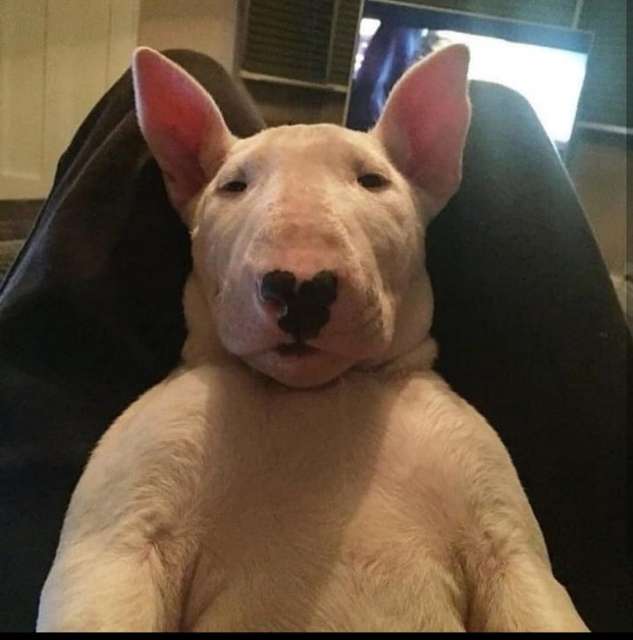 Mahdi 's profile image