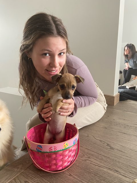 Annika Nicolas's profile image