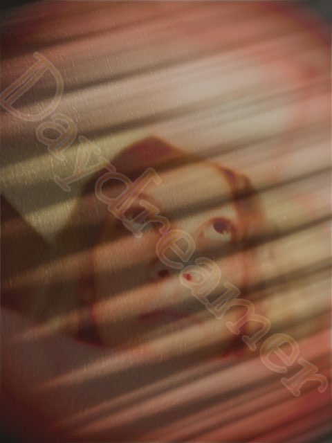 Profile User Image