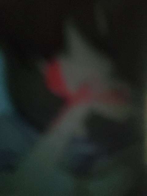 Profile User Image