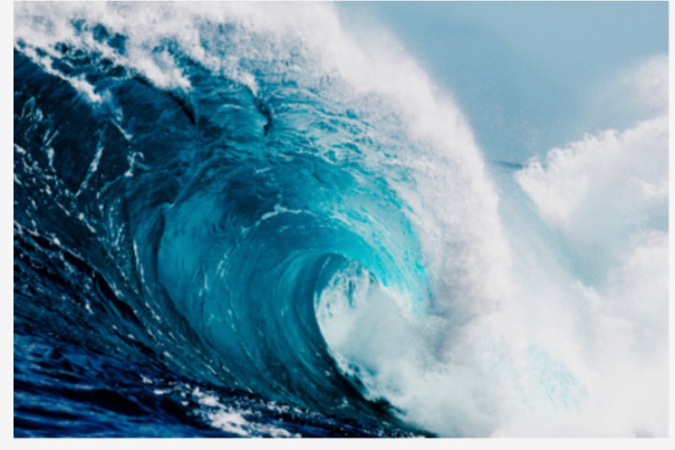 Tsunami Aureate 's profile image