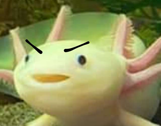 Profile User Image