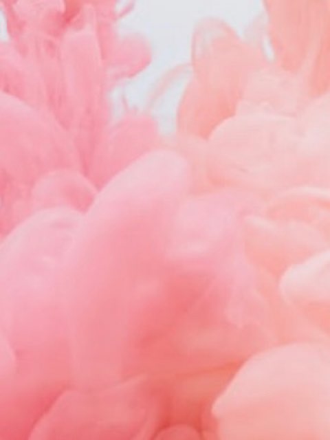 Isabella Magestro's profile image