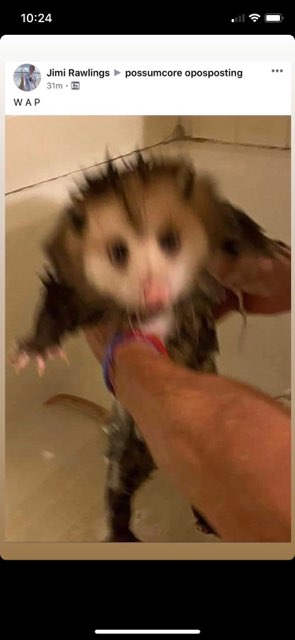 Cheru 's profile image