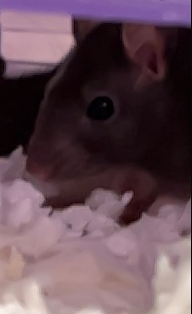 Karley B's profile image