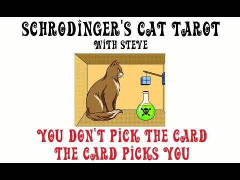 Schrodinger's Cat Reading - Are you wasting your time waiting on your soulmate to reach out? poster