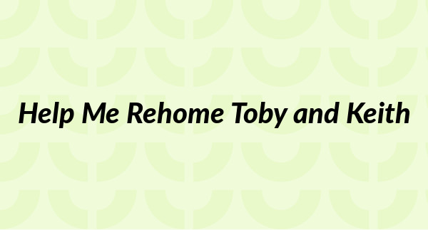 Help Me Rehome Toby and Keith banner backdrop