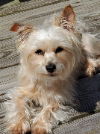 Profile User Image