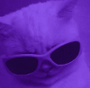 Profile User Image